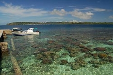 Kreuzfahrt Salomonen