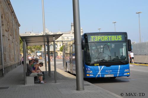 Hafenbus zu den Kreuzfahrtterminals