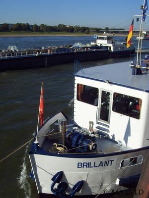 MS Brillant am Düsseldorfer Rheinufer