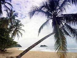 Kreuzfahrt Costa Rica