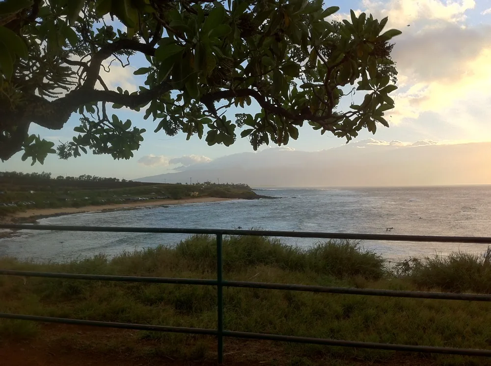 Hawaii-Kreuzfahrt
